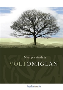 Image for Voltomiglan