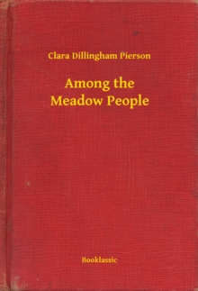 Image for Among the Meadow People