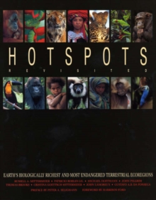 Image for Hotspots Revisited