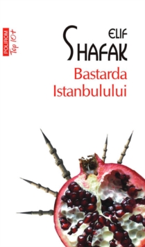 Image for Bastarda Istanbulului (Romanian edition)