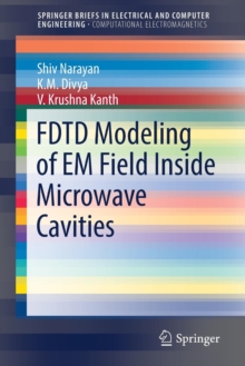 Image for FDTD Modeling of EM Field inside Microwave Cavities