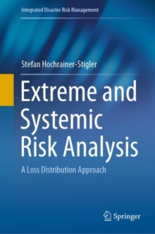 Image for Extreme and Systemic Risk Analysis