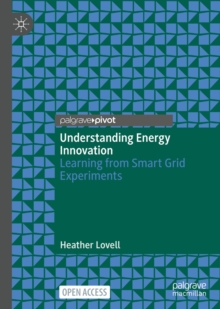 Image for Understanding energy innovation: learning from smart grid experiments