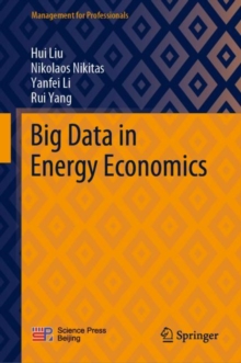 Image for Big Data in Energy Economics