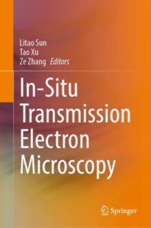 Image for In-Situ Transmission Electron Microscopy