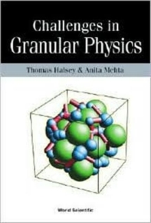Challenges In Granular Physics