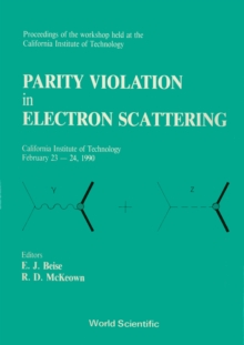 Image for PARITY VIOLATION IN ELECTRON SCATTERING - PROCEEDINGS OF THE WORKSHOP