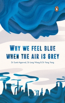 Image for Why We Feel Blue When the Air is Grey