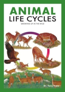 Image for Animal Life Cycles : Discovering How Animals Live in the Wild