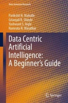Image for Data Centric Artificial Intelligence: A Beginner's Guide