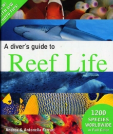 Image for A diver's guide to reef life