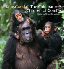 Image for The Chimpanzee Children of Gombe