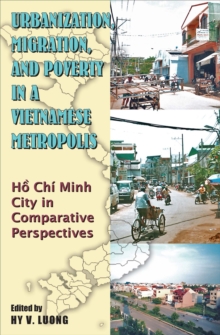 Urbanization, Migration and Poverty in a Vietnamese Metropolis