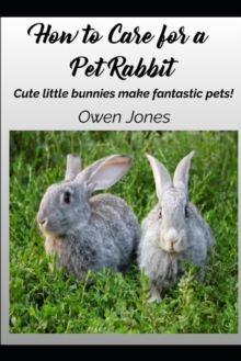 Image for How To Care For A Pet Rabbit