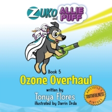 Image for Ozone Overhaul