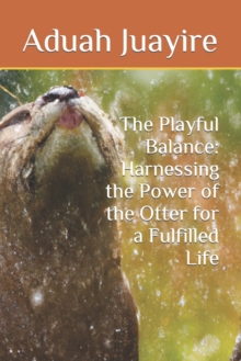 Image for The Playful Balance