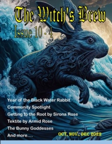 Image for The Witch's Brew : Volume 10 Issue 4