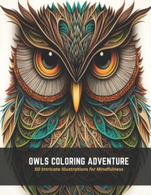 Image for Owls Coloring Adventure