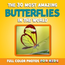 Image for The 30 Most Amazing Butterflies in the World