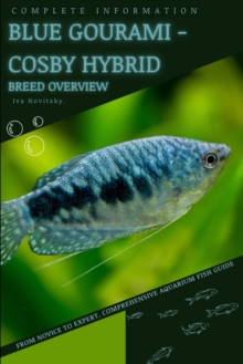 Image for Blue Gourami - Cosby Hybrid