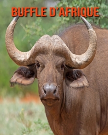 Image for Buffle d'Afrique