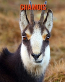 Image for Chamois : Amazing Photos & Fun Facts Book About Chamois For Kids