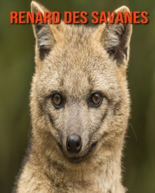 Image for Renard des Savanes
