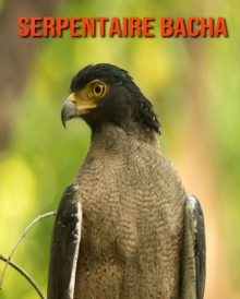 Image for Serpentaire Bacha