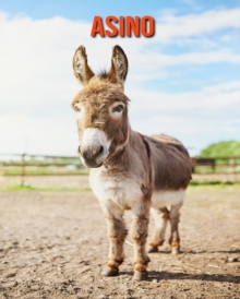 Image for Asino : Foto stupende e fatti divertenti Libro sui Asino per bambini