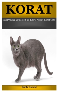Image for Korat : Everything You Need To Know About Korat Cats