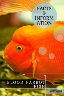 Image for Blood Parrot Fish