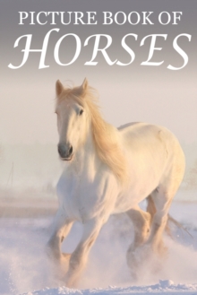 Image for Picture Book of Horses