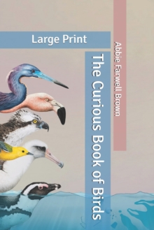 Image for The Curious Book of Birds