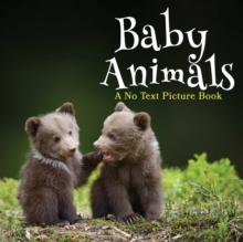 Baby Animals, A No Text Picture Book: A Calming Gift for Alzheimer Patients and Senior Citizens Living With Dementia