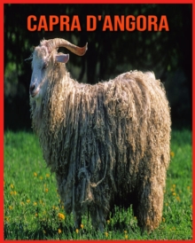Image for Capra d'Angora