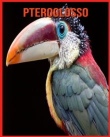 Image for Pteroglosso