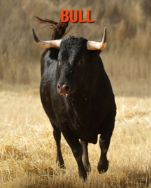 Image for Bull