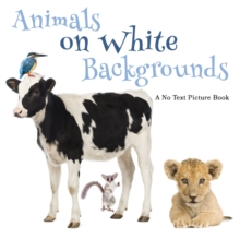 Animals on White Backgrounds, A No Text Picture Book: A Calming Gift for Alzheimer Patients and Senior Citizens Living With Dementia