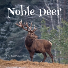 Image for Noble Deer, A No Text Picture Book