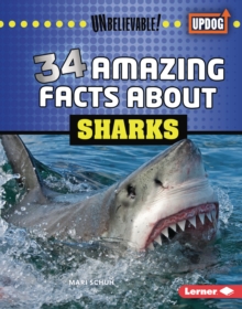 Image for 34 Amazing Facts About Sharks