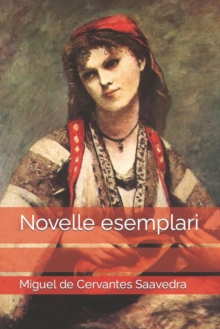 Image for Novelle esemplari