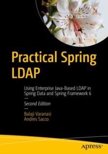 Image for Practical Spring LDAP