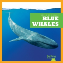 Blue Whales