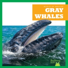 Gray Whales