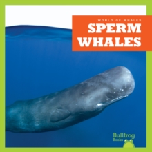 Sperm Whales