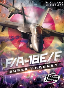 Image for F/a 18e/F Super Hornet