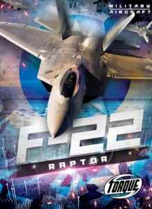 Image for F22 Raptor