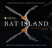 Image for Bat Island : A Rare Journey into the Hidden World of Tropical Bats