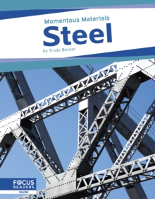 Image for Steel