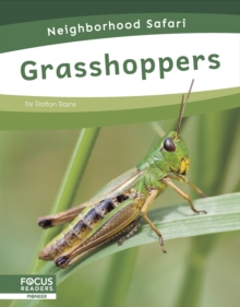 Image for Neighborhood Safari: Grasshoppers